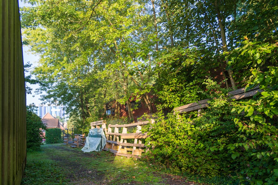 This image shows a residential area viewed through the branches and leaves of tall deciduous trees, with sunlight filtering through the foliage. In the foreground, there is a weathered wooden fence wi